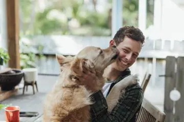 Dog pushes bowl with nose best sale