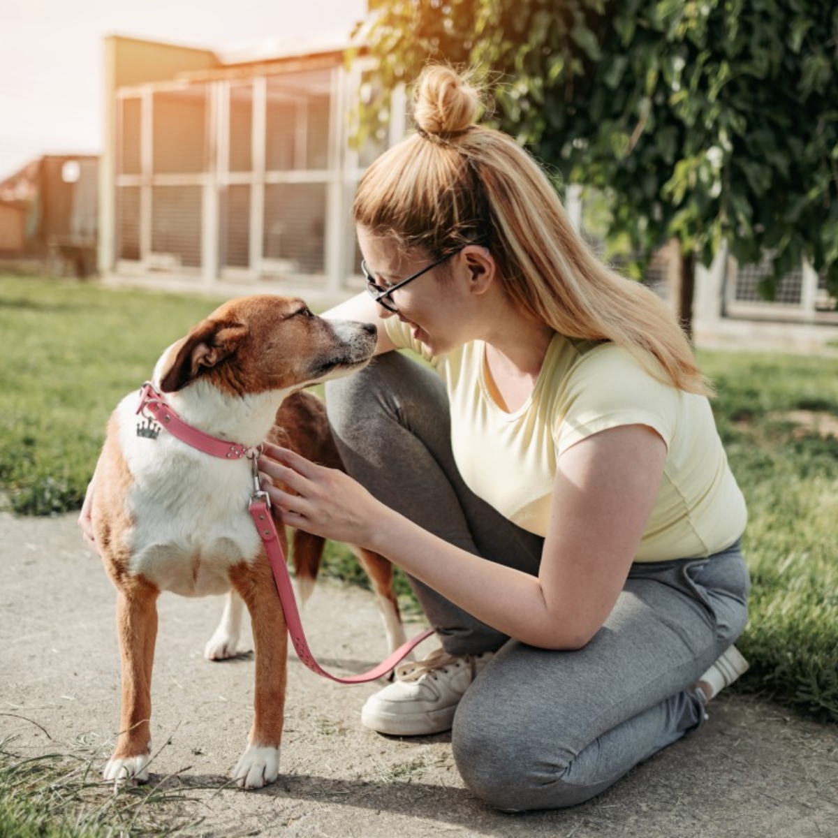 The biggest mistake adoptive owners make, says the expert