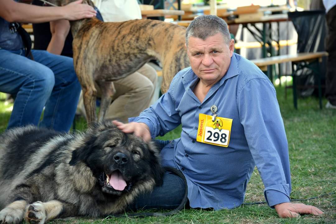 Sarplaninac / Fotó: Varga's Bull Kennel