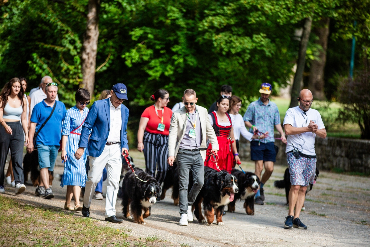 berni pásztorkutya falkaséta a dogz fesztiválon