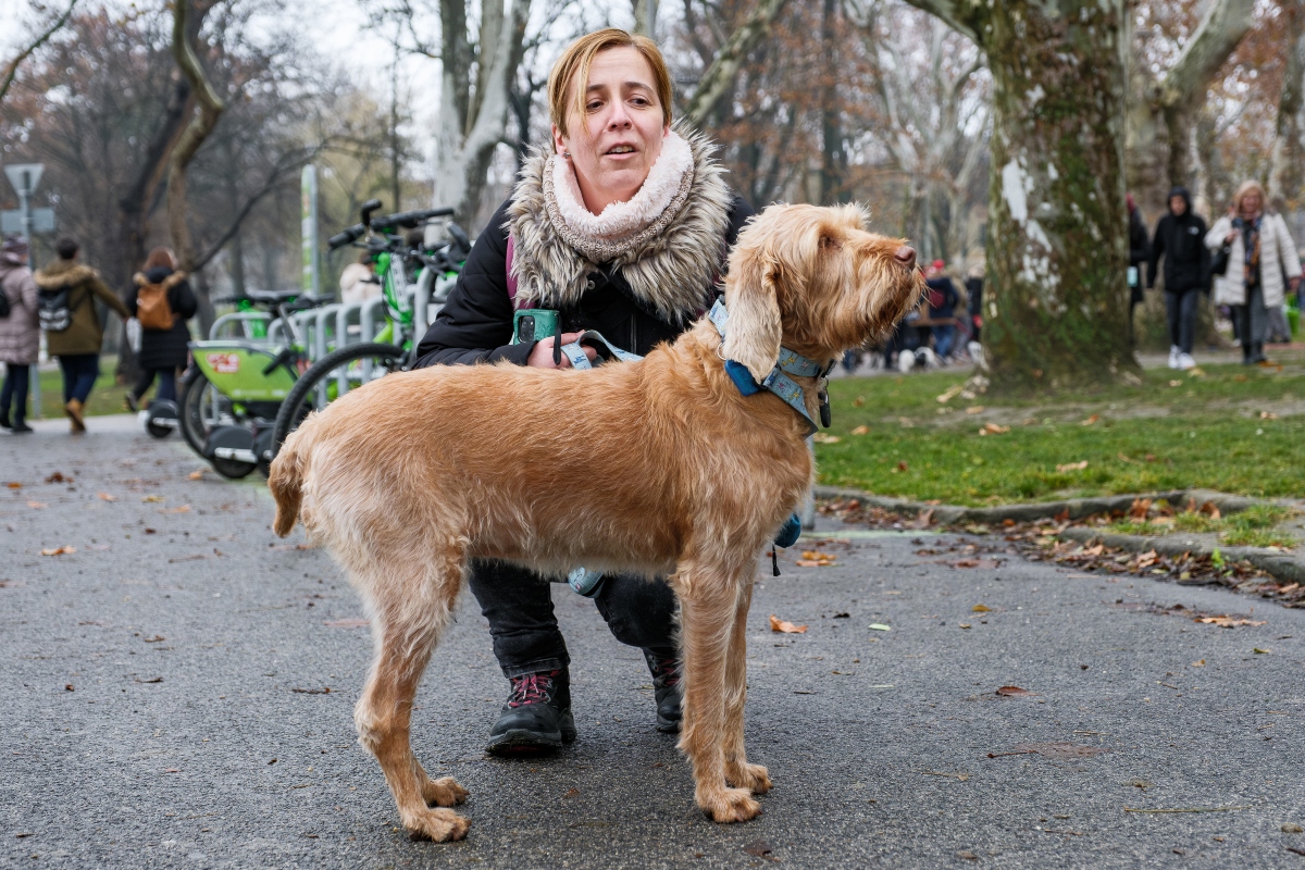 DOGZ Mikulás Falkaséta