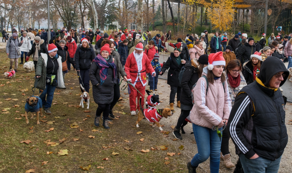 DOGZ Mikulás Falkaséta