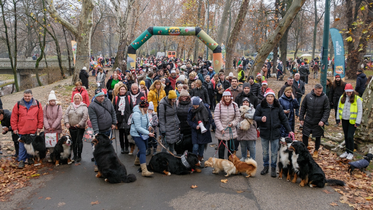 DOGZ Mikulás Falkaséta